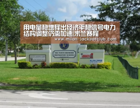 用电量稳增释出经济平稳信号电力结构调整仍需加速|米兰赛程(图3) 米兰官网